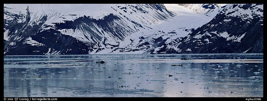 Snowy slopes reflected in ice-chocked waters. Glacier Bay National Park (color)