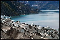 Lamplugh glacier and turquoise bay waters. Glacier Bay National Park, Alaska, USA.