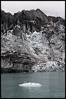 Iceberg, seabirds, and front of Margerie Glacier with black ice. Glacier Bay National Park, Alaska, USA.