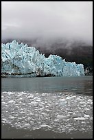 Icebergs, Margerie Glacier, and fog. Glacier Bay National Park ( color)