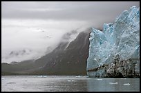 Margerie Glacier and foggy mountains surrounding Tarr Inlet. Glacier Bay National Park, Alaska, USA.