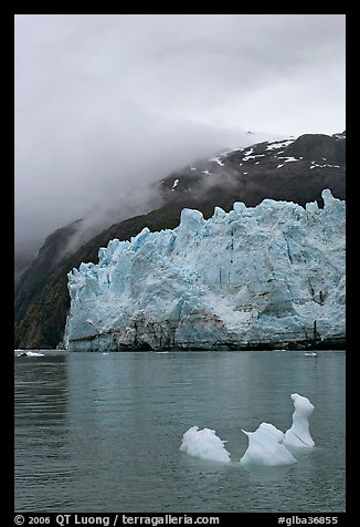Icerberg at the base of Margerie Glacier. Glacier Bay National Park (color)