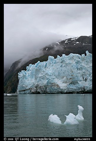 Icerberg at the base of Margerie Glacier. Glacier Bay National Park, Alaska, USA.