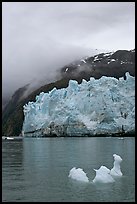 Icerberg at the base of Margerie Glacier. Glacier Bay National Park ( color)