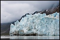 Terminus face of Margerie Glacier. Glacier Bay National Park, Alaska, USA.