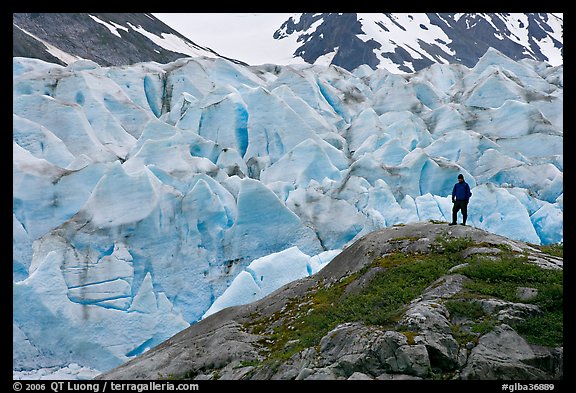 Hiker on a hill below Reid Glacier. Glacier Bay National Park, Alaska, USA.