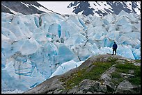 Hiker on a hill below Reid Glacier. Glacier Bay National Park, Alaska, USA.