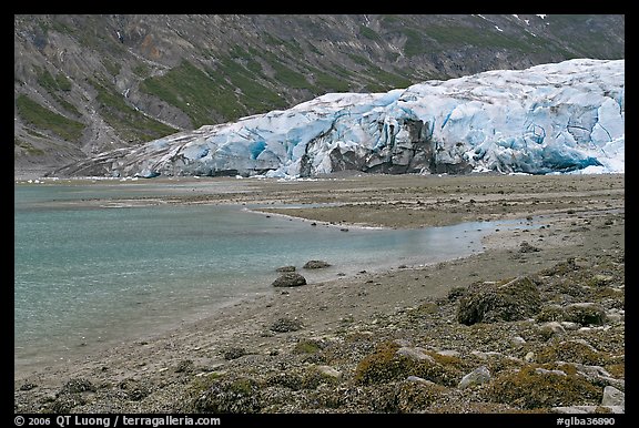 Beach and Reid Glacier. Glacier Bay National Park (color)