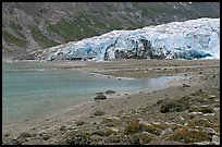 Beach and Reid Glacier. Glacier Bay National Park, Alaska, USA.