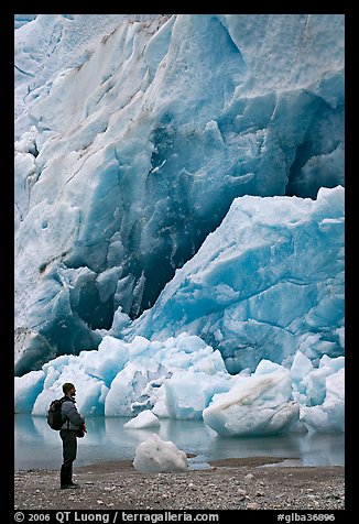 Hiker looking at ice wall at the terminus of Reid Glacier. Glacier Bay National Park, Alaska, USA.