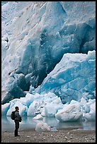 Hiker looking at ice wall at the terminus of Reid Glacier. Glacier Bay National Park ( color)