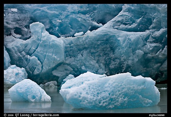 Icebergs and blue ice at the base of Reid Glacier. Glacier Bay National Park, Alaska, USA.