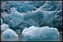 Icebergs and blue ice at the base of Reid Glacier. Glacier Bay National Park, Alaska, USA. (color)