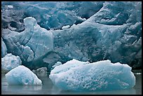 Icebergs and blue ice at the base of Reid Glacier. Glacier Bay National Park ( color)