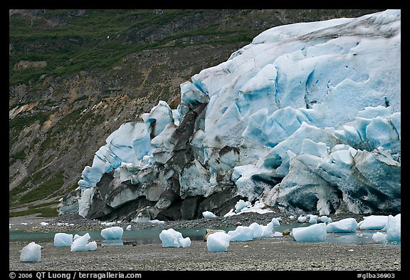 Stranded icebergs on beach and Reid Glacier terminus. Glacier Bay National Park, Alaska, USA.