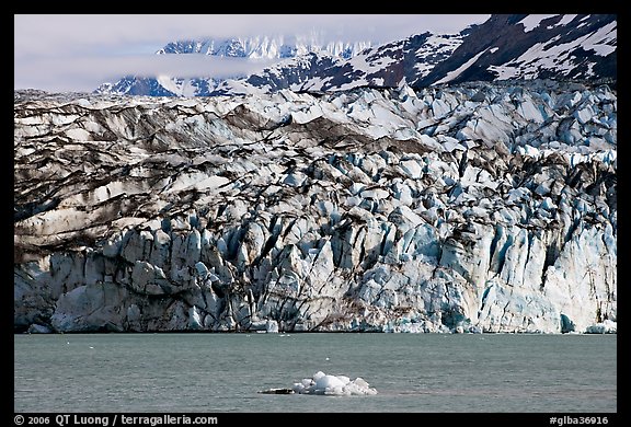 Iceberg and ice face of Lamplugh glacier. Glacier Bay National Park, Alaska, USA.