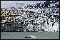 Iceberg and ice face of Lamplugh glacier. Glacier Bay National Park, Alaska, USA.