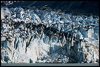 Tidewater ice front of Lamplugh glacier. Glacier Bay National Park, Alaska, USA.