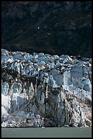 Front of Lamplugh glacier. Glacier Bay National Park, Alaska, USA.