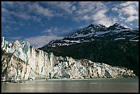 Lamplugh glacier and Mt Cooper, late afternoon. Glacier Bay National Park, Alaska, USA.