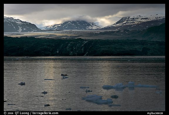 Icebergs and Grand Pacific Glacier under low clouds. Glacier Bay National Park (color)