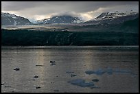 Icebergs and Grand Pacific Glacier under low clouds. Glacier Bay National Park, Alaska, USA. (color)