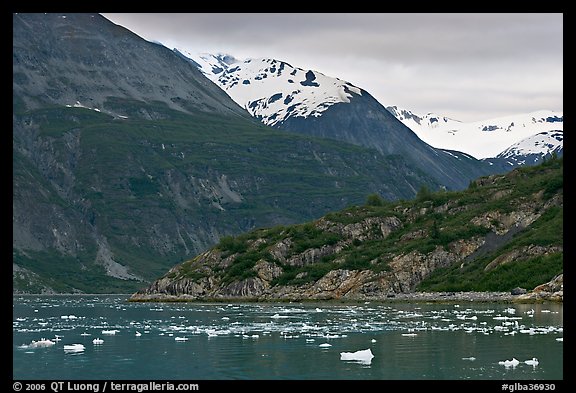 Ice-chocked cove in Tarr Inlet. Glacier Bay National Park (color)