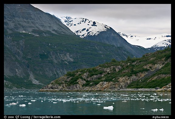 Ice-chocked cove in Tarr Inlet. Glacier Bay National Park, Alaska, USA.