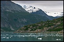 Ice-chocked cove in Tarr Inlet. Glacier Bay National Park ( color)