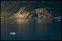 Icebergs and spot of sunlight on slopes around Tarr Inlet. Glacier Bay National Park, Alaska, USA. (color)