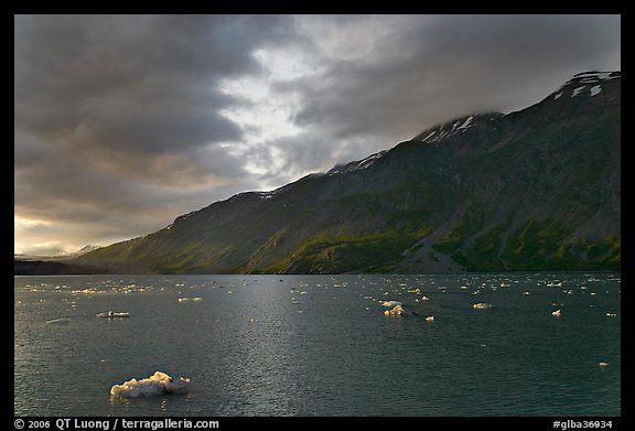 Icebergs in Tarr Inlet, sunset. Glacier Bay National Park (color)