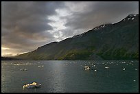 Icebergs in Tarr Inlet, sunset. Glacier Bay National Park, Alaska, USA. (color)