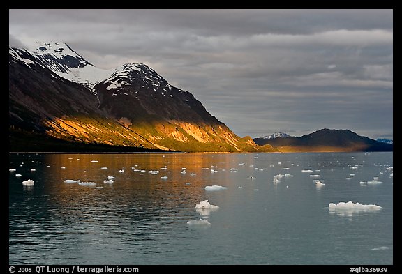 Tarr Inlet and icebergs with the last light of sunset. Glacier Bay National Park, Alaska, USA.