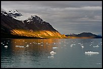 Pictures of Glacier Bay