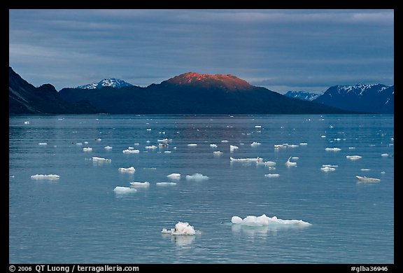 Icebergs and last light on mountain, Tarr Inlet, sunset. Glacier Bay National Park (color)