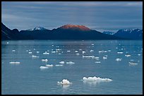 Icebergs and last light on mountain, Tarr Inlet, sunset. Glacier Bay National Park, Alaska, USA. (color)