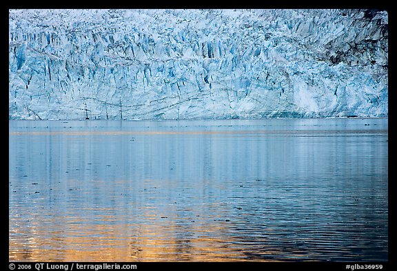 Golden reflections and blue ice of Margerie Glacier. Glacier Bay National Park, Alaska, USA.