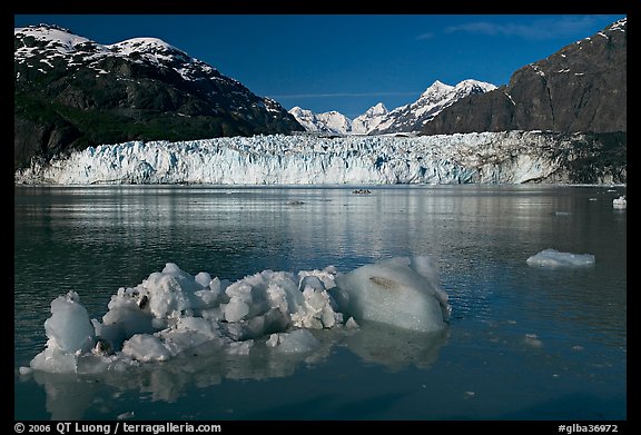 Iceberg, wide front of Margerie Glacier and Fairweather range. Glacier Bay National Park (color)