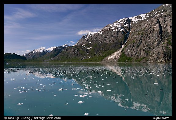 Icebergs and reflections in Tarr Inlet. Glacier Bay National Park, Alaska, USA.