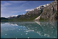 Icebergs and reflections in Tarr Inlet. Glacier Bay National Park, Alaska, USA.