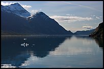 View looking out Tarr Inlet in the morning. Glacier Bay National Park, Alaska, USA. (color)