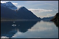 View looking out Tarr Inlet in the morning. Glacier Bay National Park, Alaska, USA.