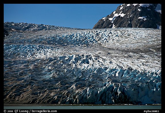 Reid Glacier. Glacier Bay National Park (color)