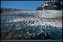 Reid Glacier. Glacier Bay National Park, Alaska, USA. (color)