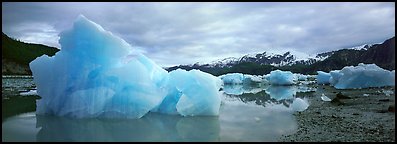 Blue beached icebergs. Glacier Bay National Park, Alaska, USA.