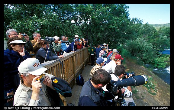 Photographers at the Brooks falls obervation platform. Katmai National Park, Alaska, USA.