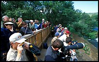 Photographers at the Brooks falls obervation platform. Katmai National Park, Alaska, USA.