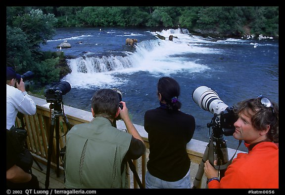 Photographers on observation platform and Brooks falls with bears. Katmai National Park, Alaska, USA.