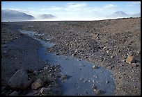 Animal tracks in ash, Valley of Ten Thousand smokes. Katmai National Park ( color)
