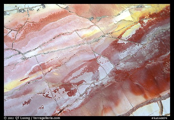 Colorful slab, Valley of Ten Thousand smokes. Katmai National Park (color)